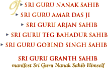 Table of Contents for Sikhism